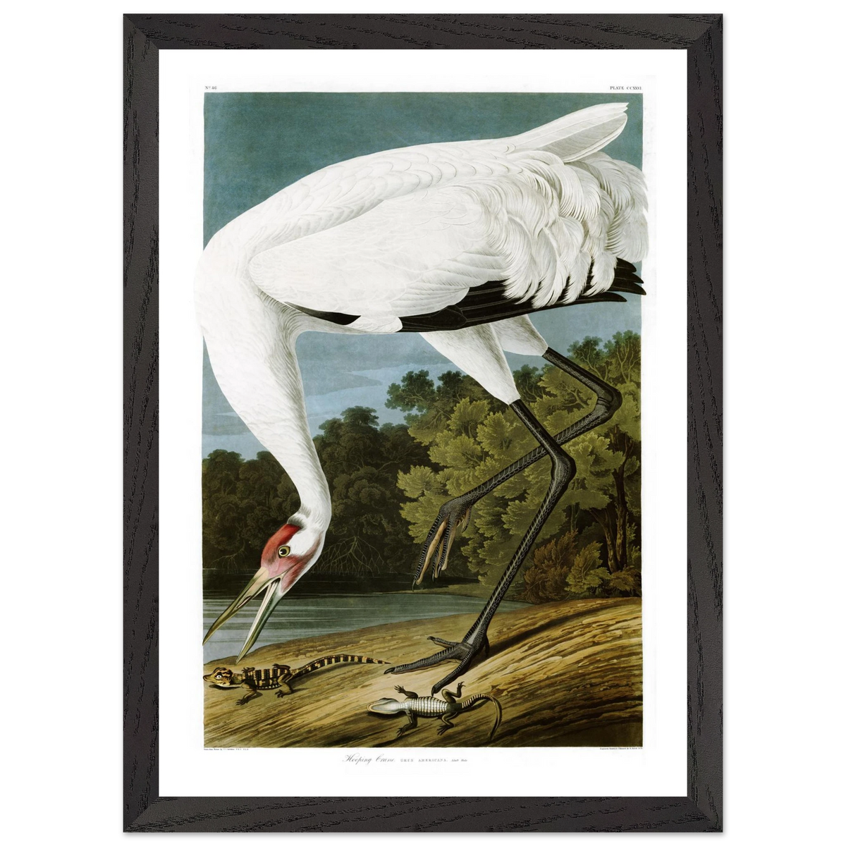 7b75ac0d-7cb1-46c1-be18-a7ac8162f300