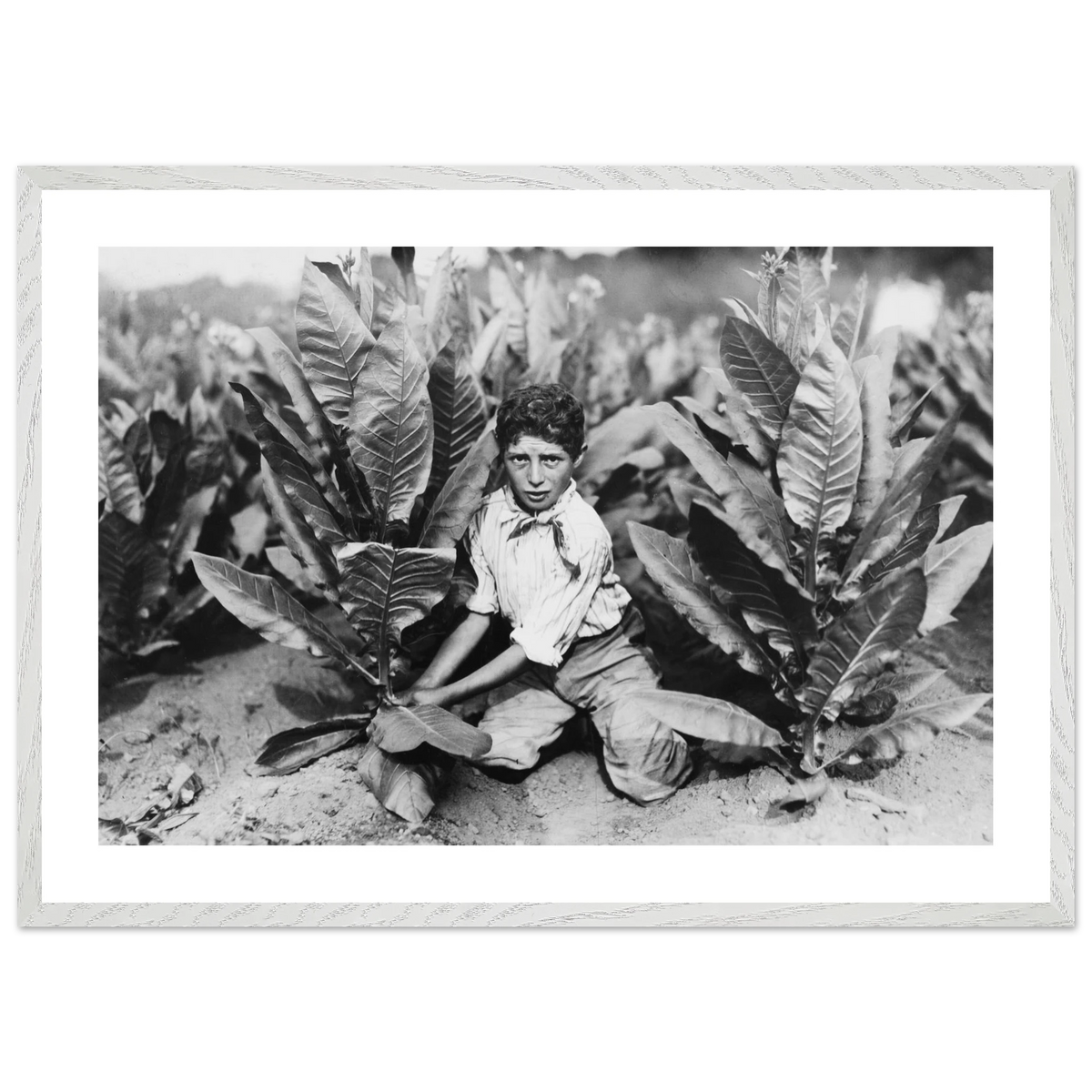 9fb0358b-e3dc-449e-bfd3-4de7b002b0b1